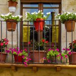 Come abbellire il tuo balcone con le piante?